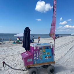 Ice Cream Electric Wagon 2
