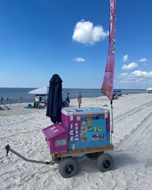 Ice Cream Electric Wagon 2